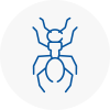 Ant Removals In Ystradgynlais