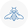 Bee Nest Removal Ystradgynlais