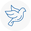 Bird Prevention Ystradgynlais