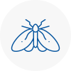 Moth Control Specialists In Ystradgynlais