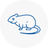 Rat Control Ystradgynlais