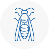 Ystradgynlais Wasp Nest Removal